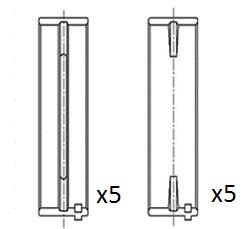 Crankshaft Bearing